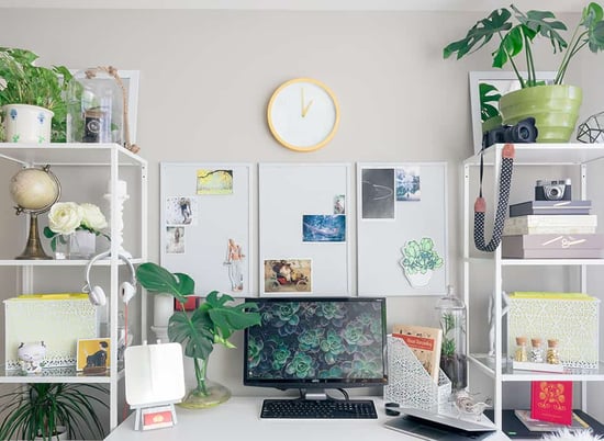 What is biophilic office design, and why consider this in your office?