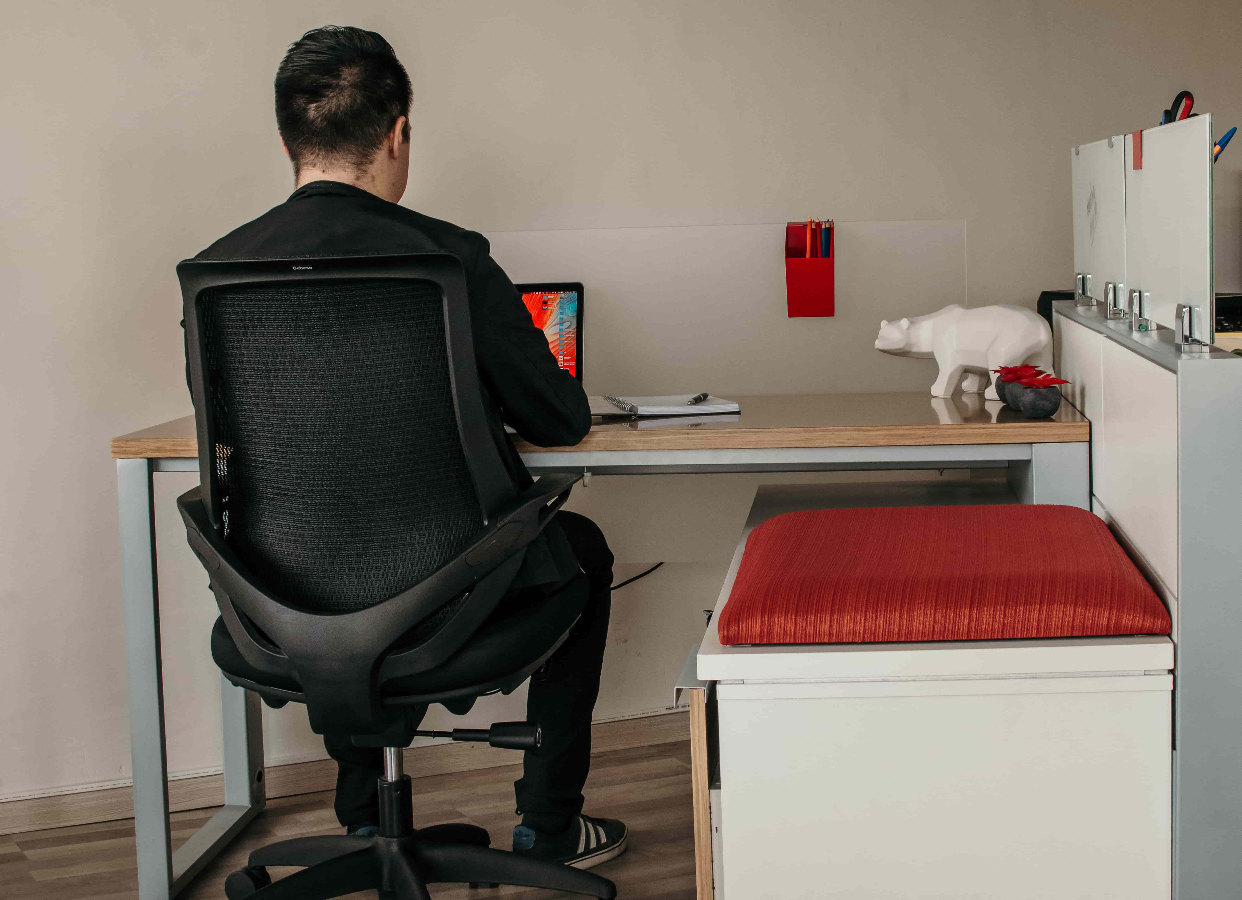 back-support-ergonomically-designed-office-equipment