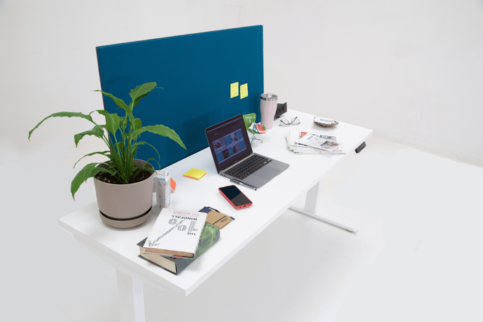 personalized-office-to-promote-a-sense-of-belonging